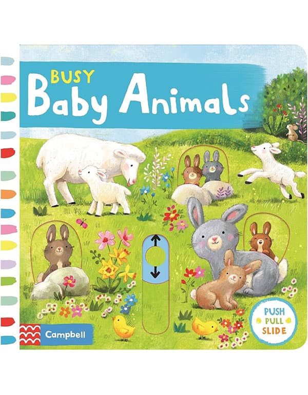 Busy Baby Animals