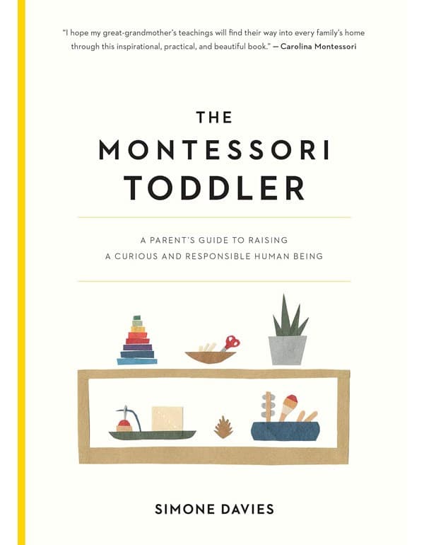 The Montessori Toddler