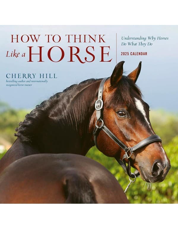 How to Think Like a Horse Wall Calendar 2025