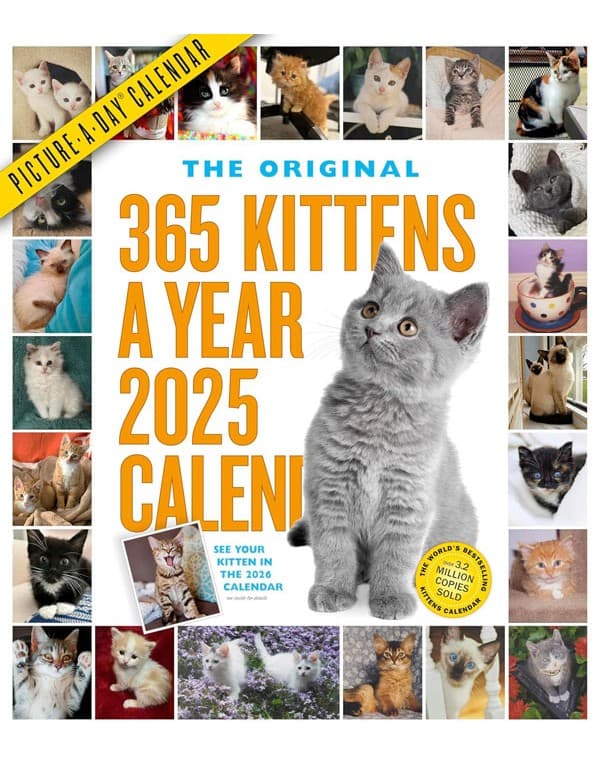 365 Kittens-A-Year Picture-A-Day® Wall Calendar 2025