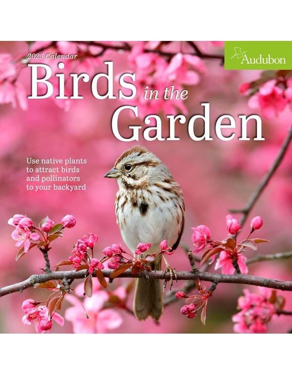Audubon Birds in the Garden Wall Calendar 2025