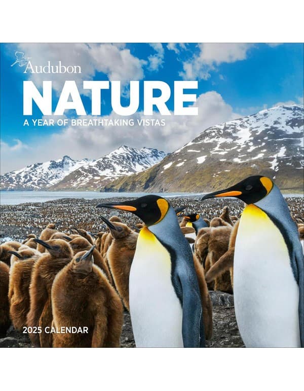 Audubon Nature Wall Calendar 2025