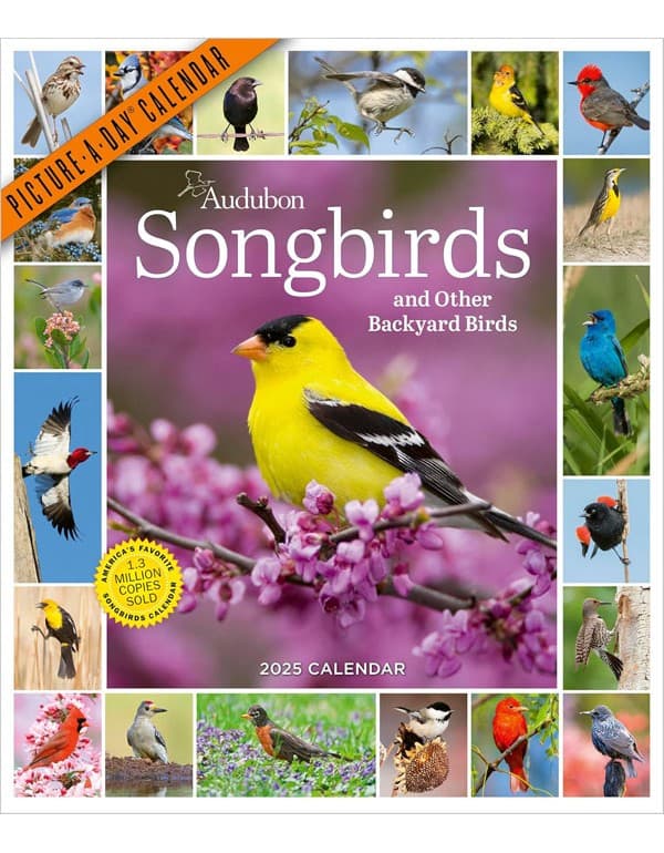 Audubon Songbirds and Other Backyard Birds Picture-A-Day® Wall Calendar 2025