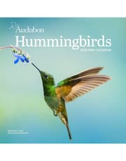 Audubon Hummingbirds Mini Wall Calendar 2025 product image