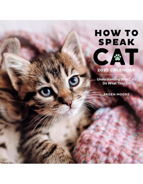 How to Speak Cat Wall Calendar 2025