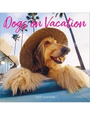 Dogs on Vacation Wall Calendar 2025 product image