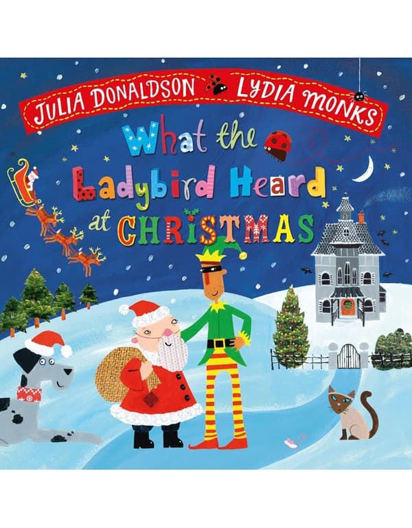 What the Ladybird Heard at Christmas: The Perfect Christmas Gift
