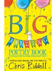 The Big Amazing Poetry Book product image