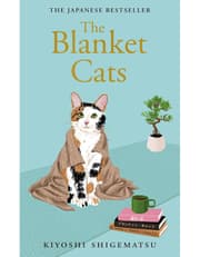 Blanket Cats product image