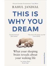 This Is Why You Dream product image
