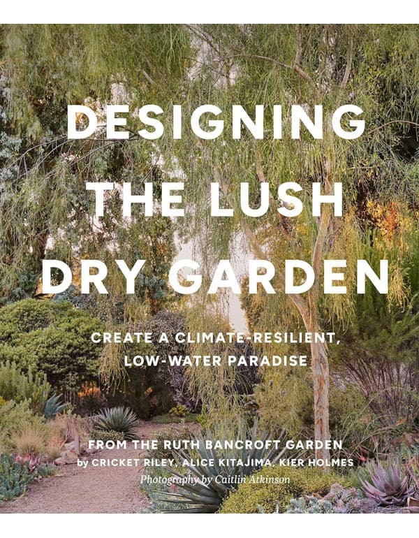 Designing the Lush Dry Garden