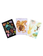 Art of Nature: Under the Sea Sewn Notebook (Set of 3) product image