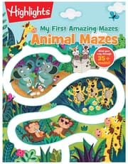 Animal Mazes product image