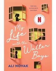 My Life with the Walter Boys product image