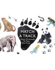 Match a Track product image