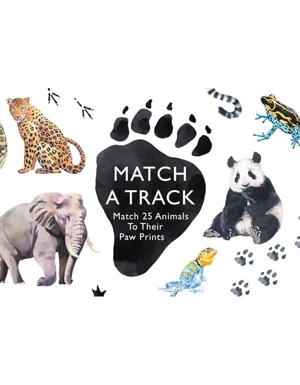 Match a Track