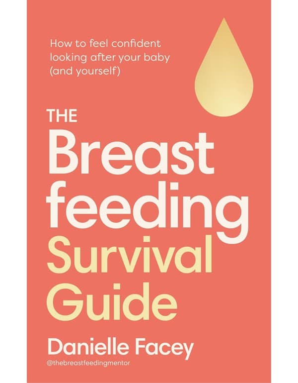 The Breastfeeding Survival Guide