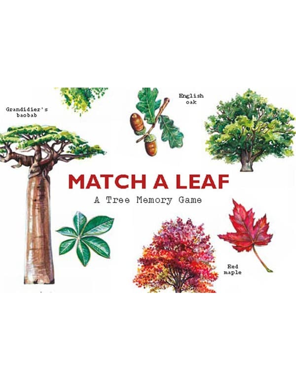Match a Leaf