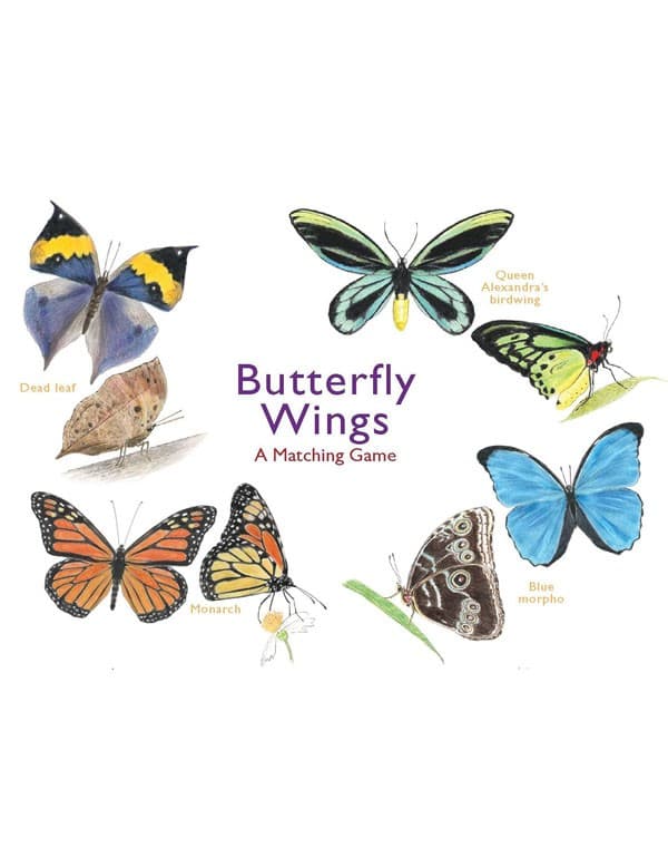 Butterfly Wings