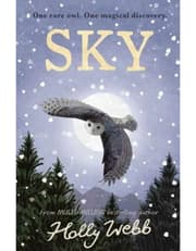Sky product image