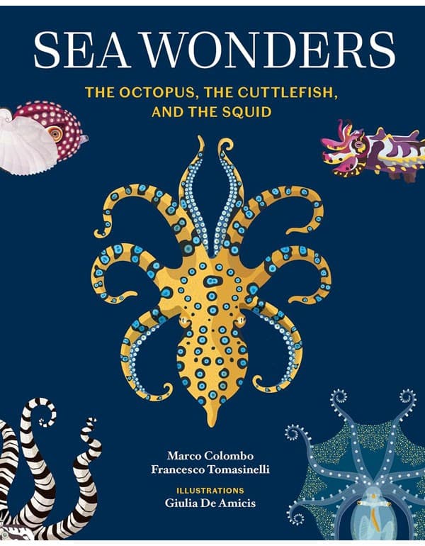 Sea Wonders: The Octopus, the Cuttlefish, and the Squid