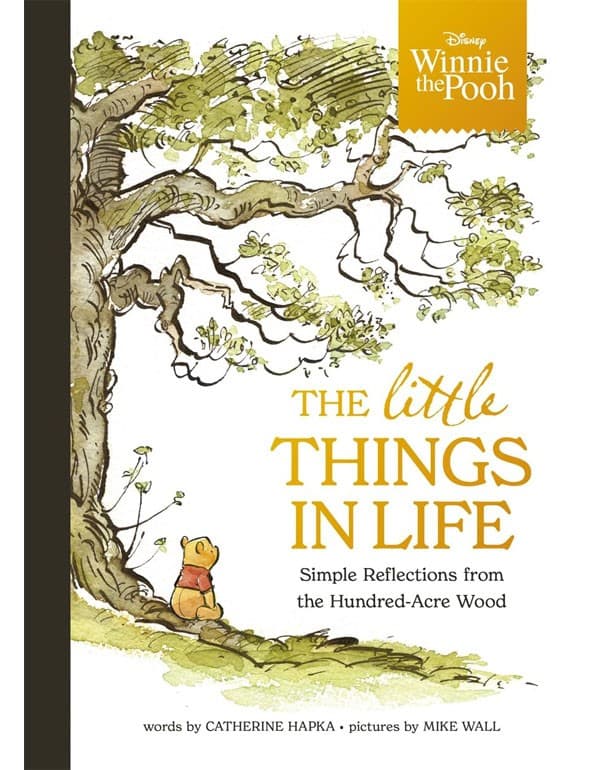 Disney Winnie the Pooh - The Little Things in Life
