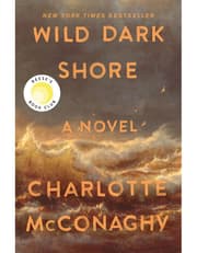 Wild Dark Shore product image