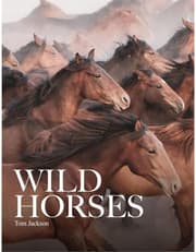Wild Horses product image