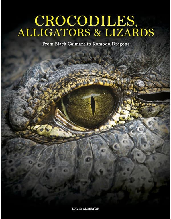 Crocodiles, Alligators & Lizards