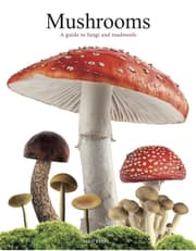Mushrooms: A guide to fungi and toadstools product image