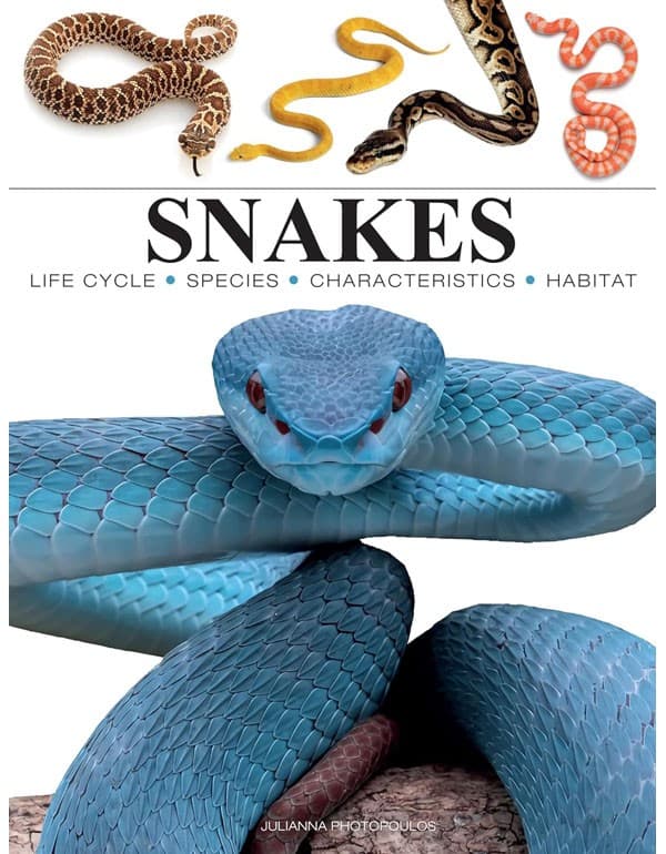 Snakes