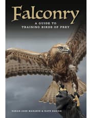 Falconry: A guide to training birds of prey product image