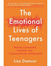 The Emotional Lives of Teenagers product image