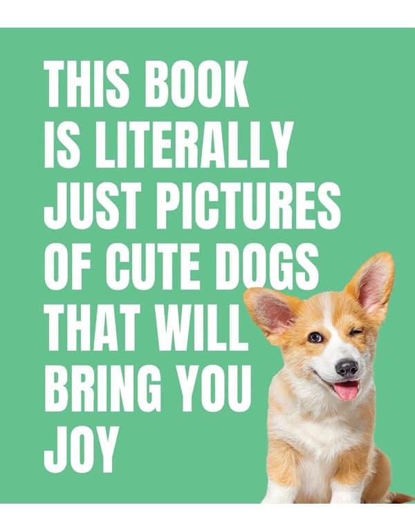 This Book is Literally Just Cute Dogs That Will Bring You Joy