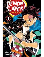 Demon Slayer: Kimetsu No Yaiba, Vol. 1: Cruelty product image