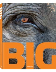 Big: A Photographic Album of the World's Largest Animals product image
