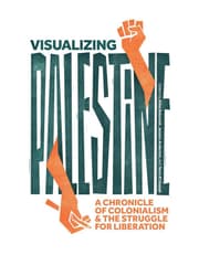 Visualizing Palestine product image