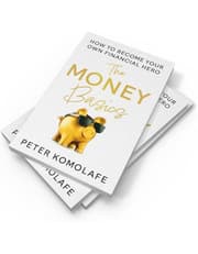 The Money Basics: How To Become Your Own Financial Hero product image