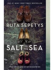 Salt to the Sea product image