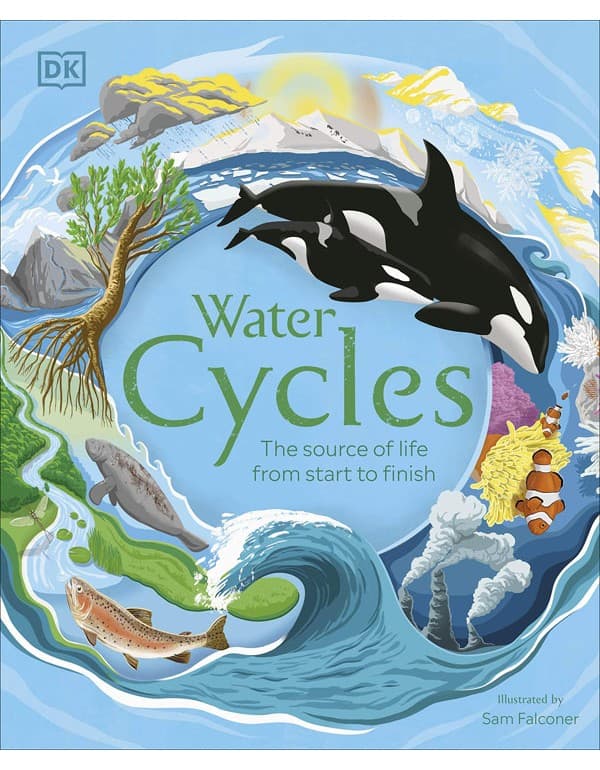 Water Cycles