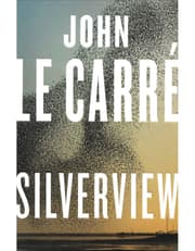 Silverview product image