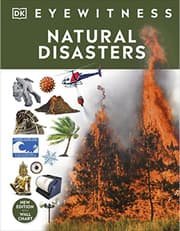 Natural Disasters product image