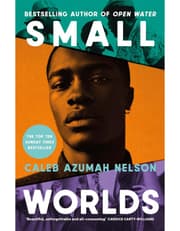 Small Worlds product image