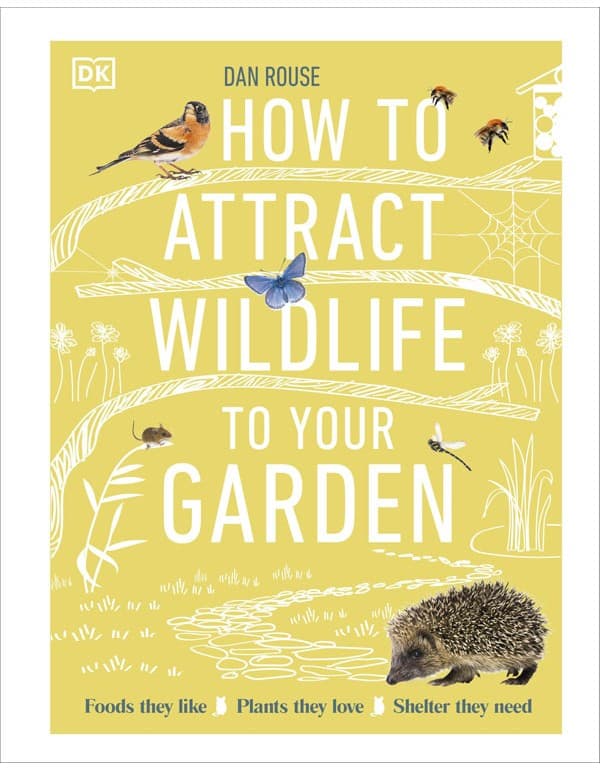 How To Attract Wildlife To Your Garden: Foods They Like, Plants They Love, Shelter They Need