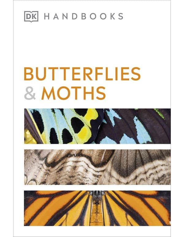 Butterflies And Moths