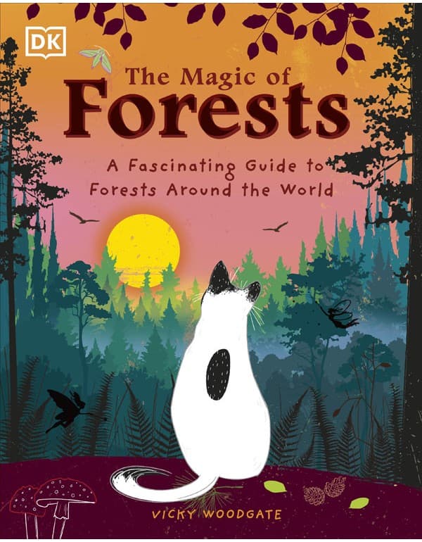 The Magic Of Forests: A Fascinating Guide To Forests Around The World