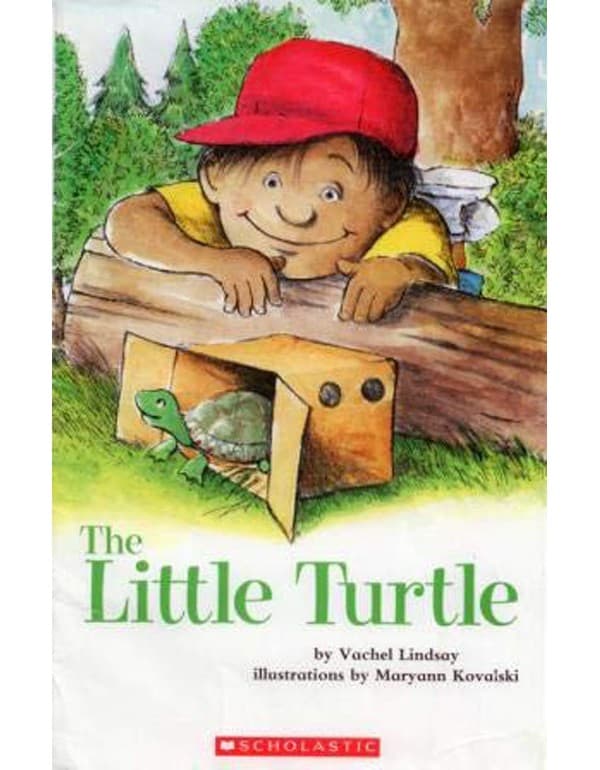 The Little Turtle