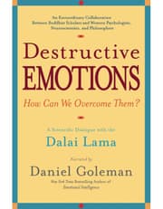 Destructive Emotions product image