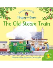 The Old Steam Train product image