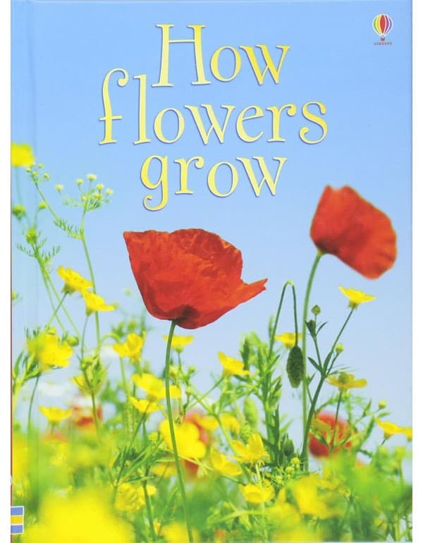 How Flowers Grow